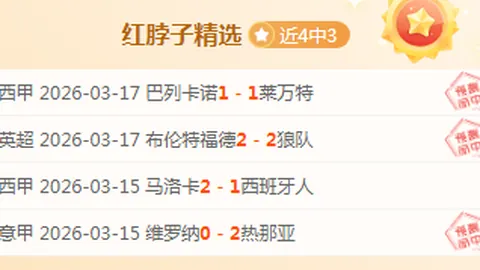 大乐透期号分析：费内巴切专家推荐轮换策略